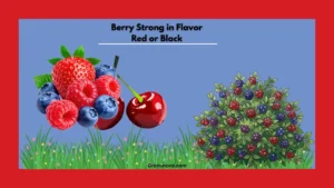 berry-strong-in-flavor-red-or-black
