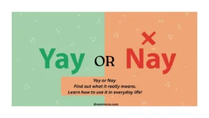 yay or nay meaning
