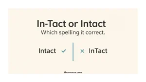 in tact or intact