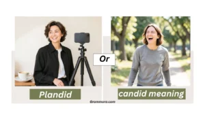 plandid-or-candid-meaning
