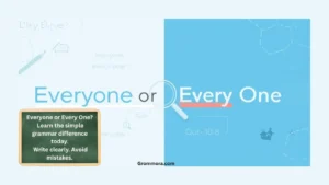 everyone-or-every-one