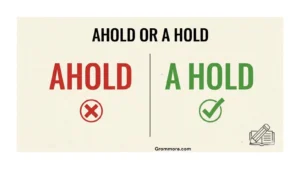 ahold-or-a-hold